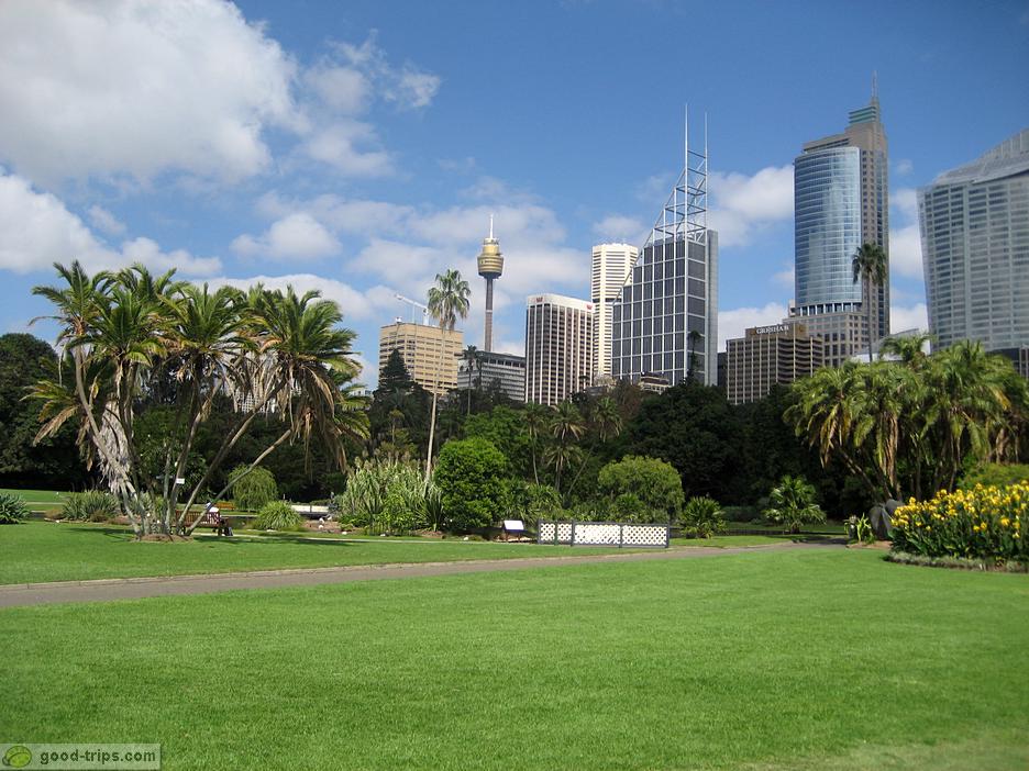 Sydney Botanic Gardens