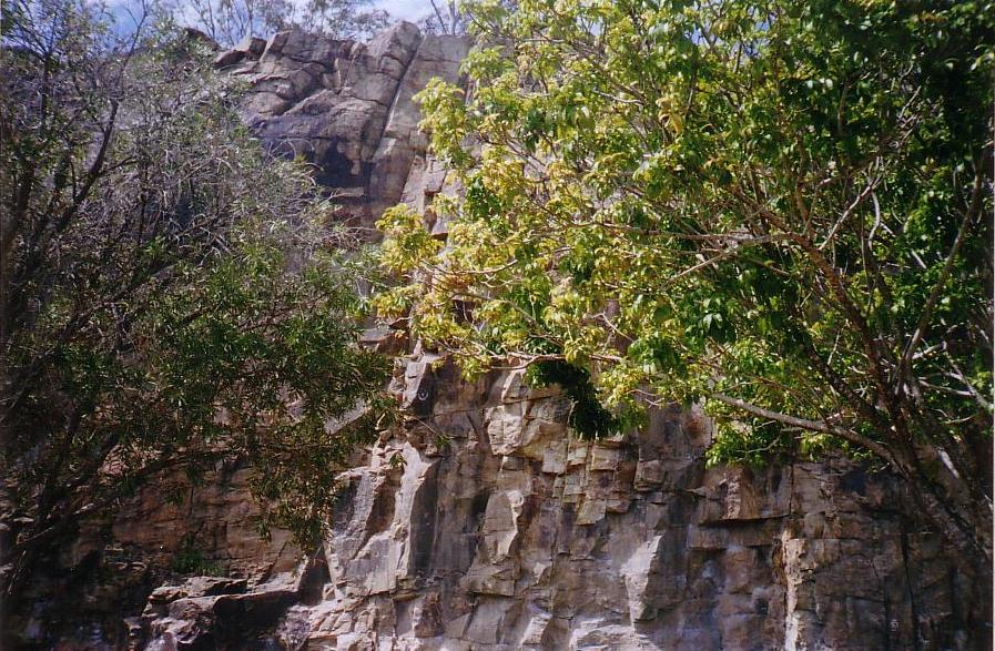 Kangaroo Points Cliff